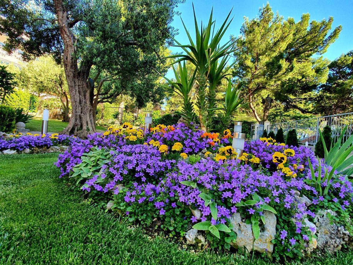 Guest House Antonia Baška Voda Extérieur photo