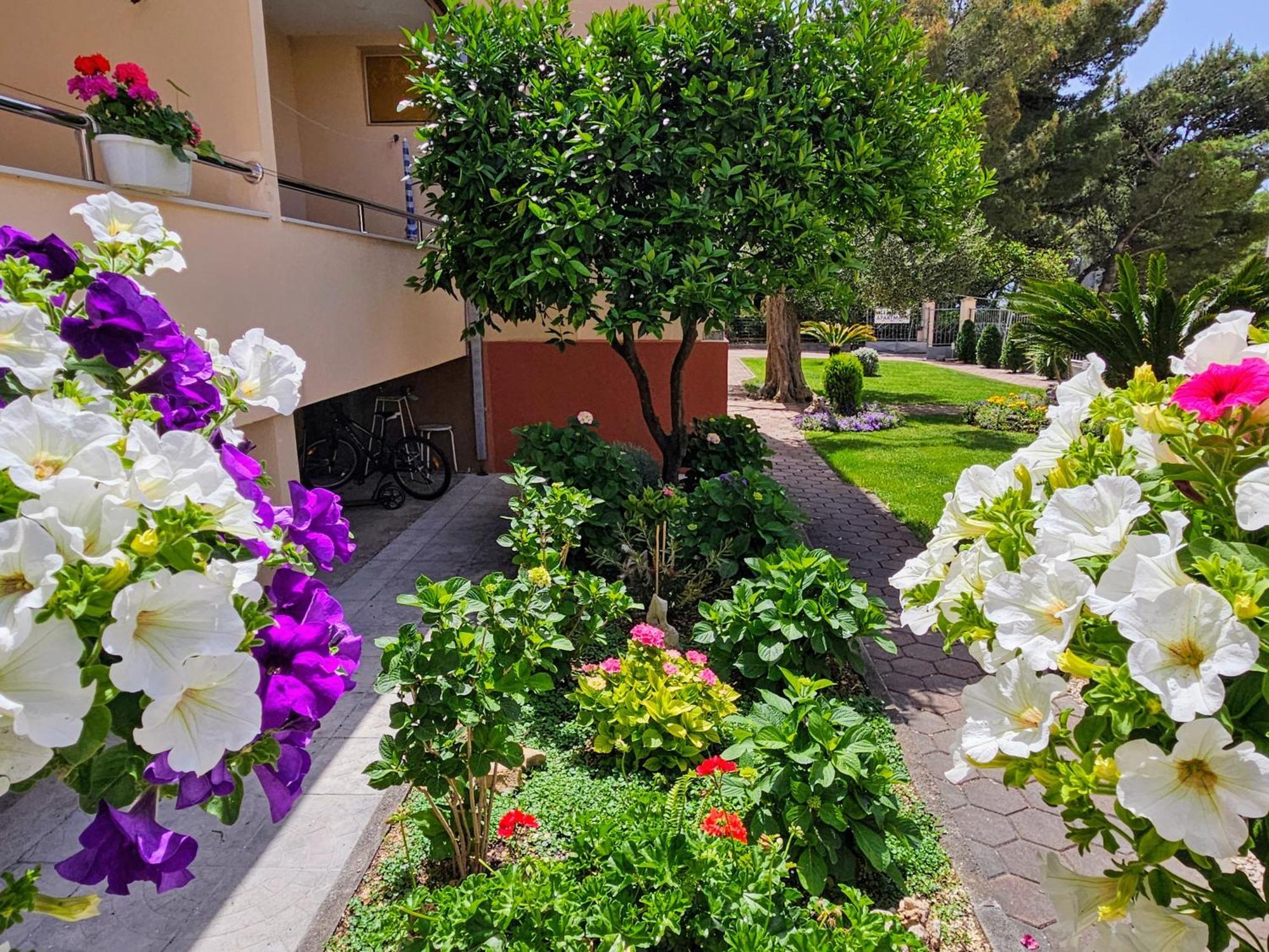 Guest House Antonia Baška Voda Extérieur photo
